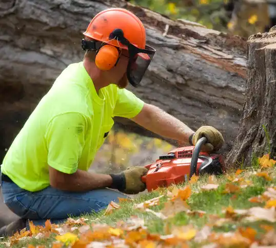 tree services Long View